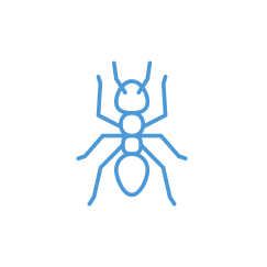 Pest Control