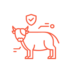 Animal Health